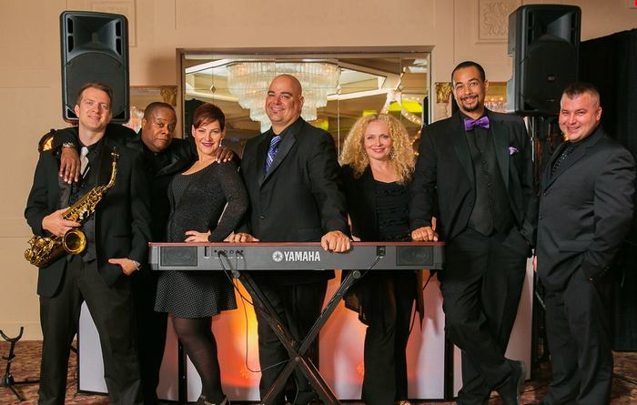 Make Your Wedding Come ALIVE With D'Amico Entertainment - DJ / Band Combination