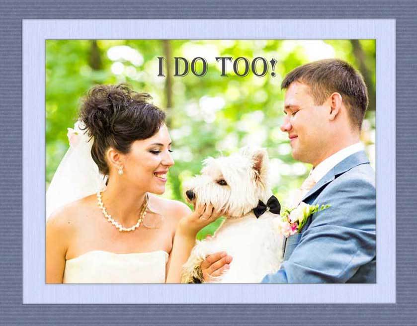 Morris Animal Inn Introduces New Wedding Services To Help Couples Include Dogs In Their Nuptials