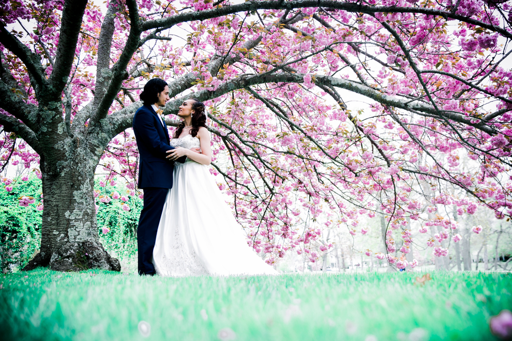 Spectacular Spring Wedding Photos and Videos