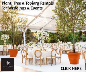 AVS Plant and Topiary Rentals For Weddings & Events