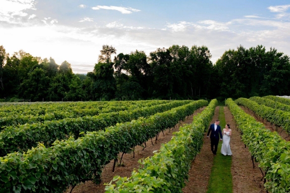 Brook Hollow Winery Weddings in Columbia NJ