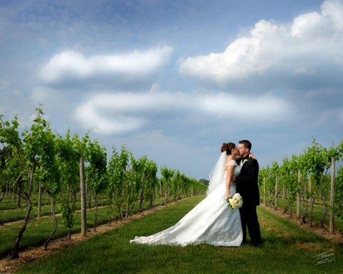  Hammonton  NJ  Wedding  Services Tomasello Winery 