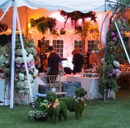 NJ Wedding Vendor Joanna Berkun Florals & Events in Ridgewood NJ