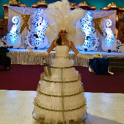 NJ Wedding Vendor Dragonfly Productions: Party and Event Entertainment in Jersey City NJ